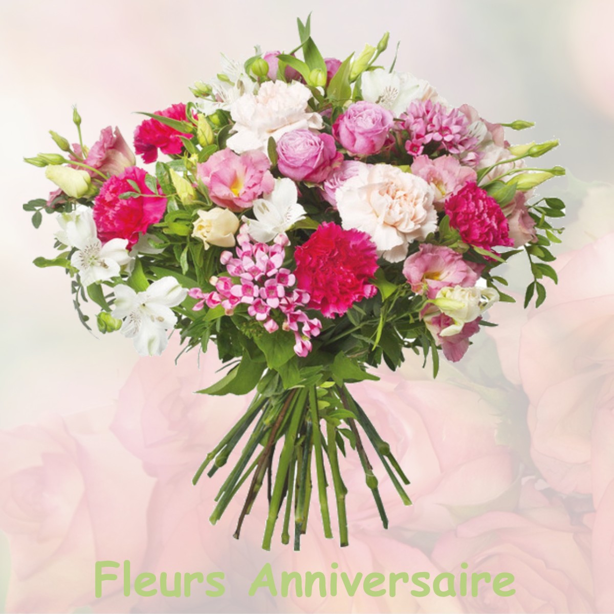 fleurs anniversaire MAISONCELLES-EN-BRIE